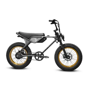 SPYDER 750W - GRAPHITE ORO