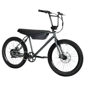 ZOOZ Ultra Urban E-Bike Black Raven